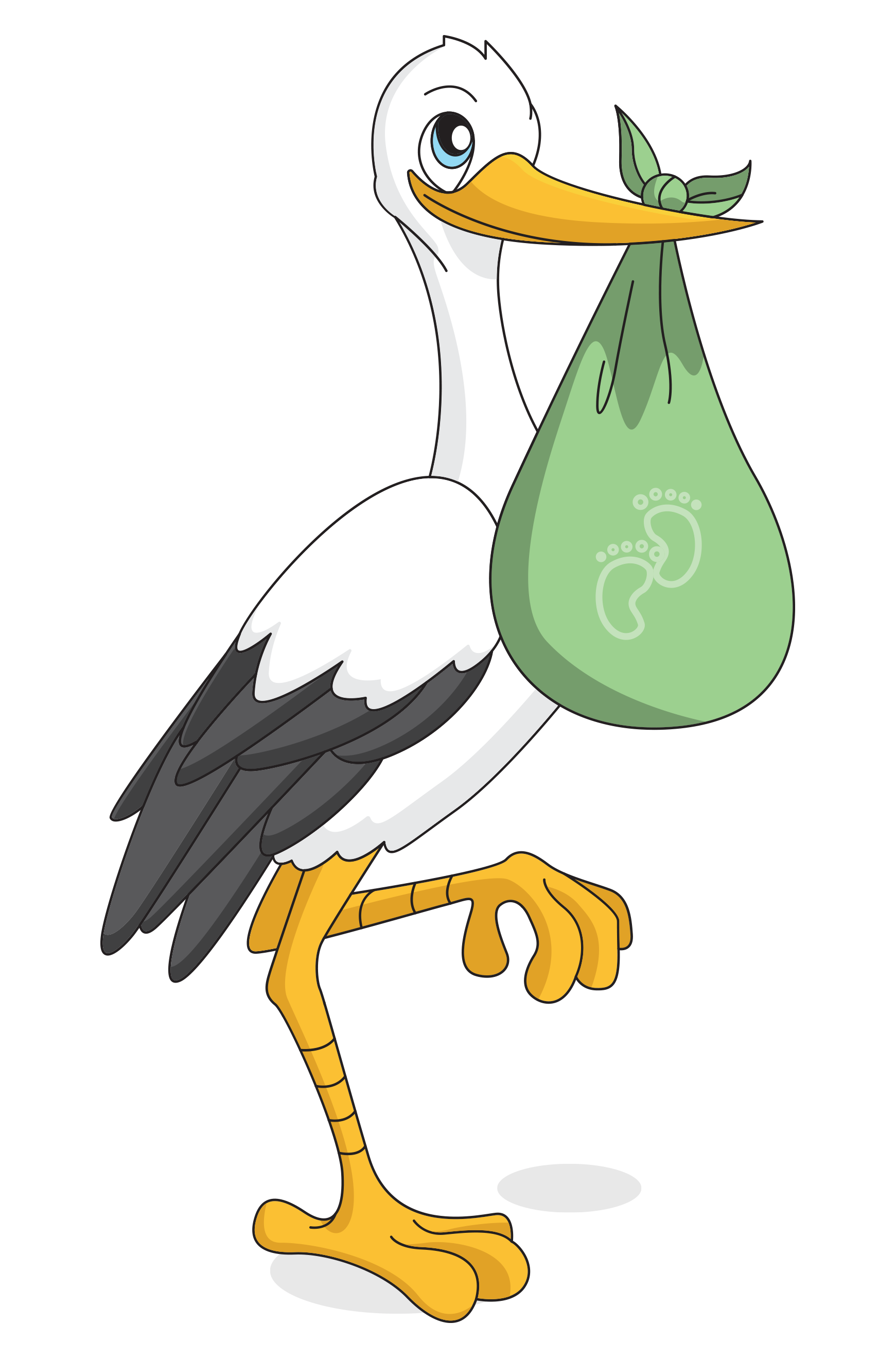 Early Reveal stork